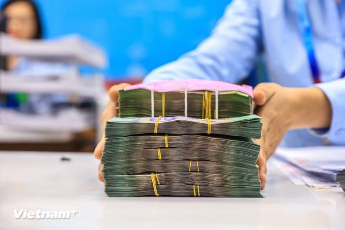 Theo các chuyên gia, lộ trình chuyển đổi 17 triệu tài khoản hiện có trở thành nguồn vốn thúc đẩy kinh tế thông qua tài sản thực là một thách thức nhưng cũng là cơ hội mang tính thời đại. (Ảnh: Vietnam+)