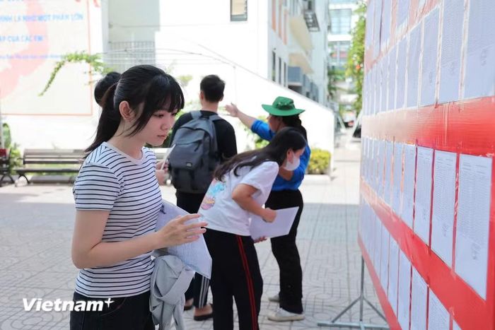 Đây cũng là buổi để thí sinh cần rà soát kỹ thông tin cá nhân, kịp thời phát hiện các sai sót và báo với hội đồng thi để có sự can thiệp, sửa chữa nếu có trước khi kỳ thi diễn ra chính thức. (Ảnh: Hoài Nam/Vietnam+)