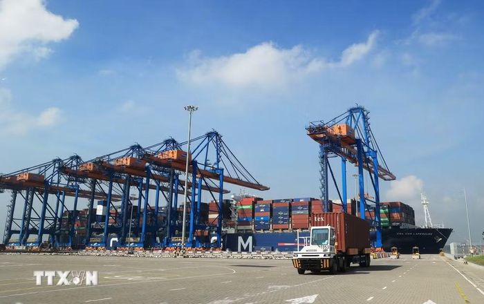 Xe chở container hoạt động trên cảng quốc tế Gemalink thuộc hệ thống Cảng biển Cái Mép, phường Tân Phước, Thành phố Hồ Chí Minh. (Ảnh: Hồng Đạt/TTXVN)