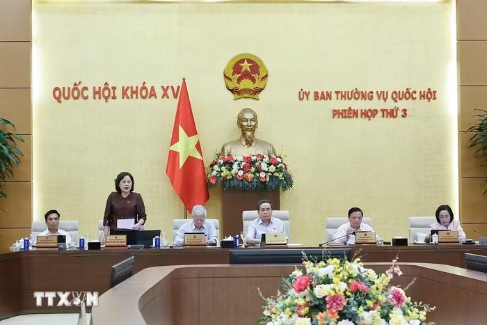 Phó Chủ tịch Quốc hội Nguyễn Thị Hồng phát biểu. (Ảnh: Doãn Tấn/TTXVN)