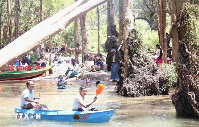 Du khách hòa mình với thiên nhiên tại cồn Koh Han, trong quần thể Khu Ramsar thượng nguồn sông Mekong rộng 1.460 ha ở tỉnh Stung Treng, vùng Đông Bắc Campuchia. (Ảnh: Huỳnh Thảo/TTXVN)