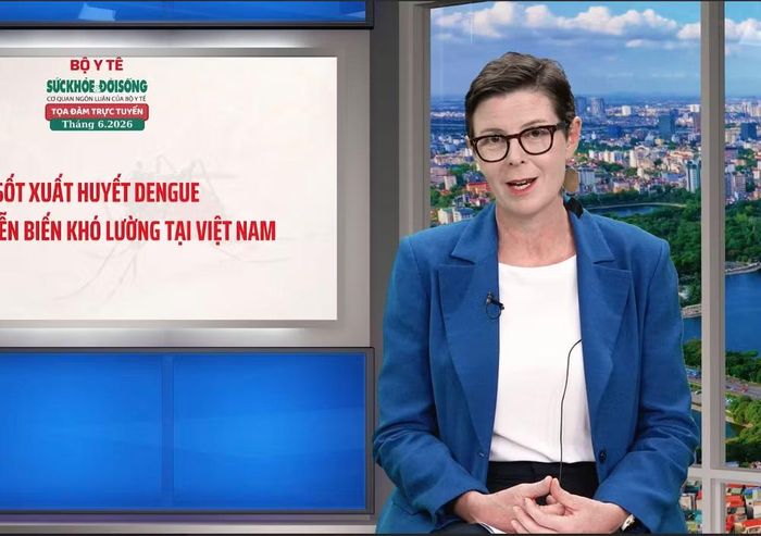 Tiến sỹ Angela Pratt - Trưởng Đại diện Tổ chức Y tế Thế giới (WHO) tại Việt Nam. (Ảnh: PV/Vietnam+)