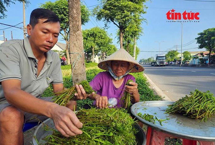 Sau khi mang rau về nhà, anh Hùng cùng mẹ là bà Nguyễn Thị Ngọc Phú cẩn thận làm sạch, phân loại và xếp ngay ngắn lên chiếc mâm nhôm trước phòng trọ trên đường Trần Văn Giàu để bán cho người dân qua lại.