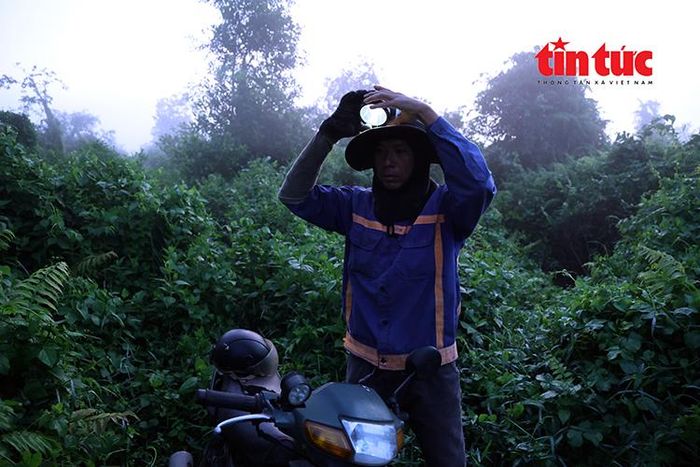 Anh Hùng điểu chỉnh đèn pin trên đầu để vào rừng sậy hái rau.