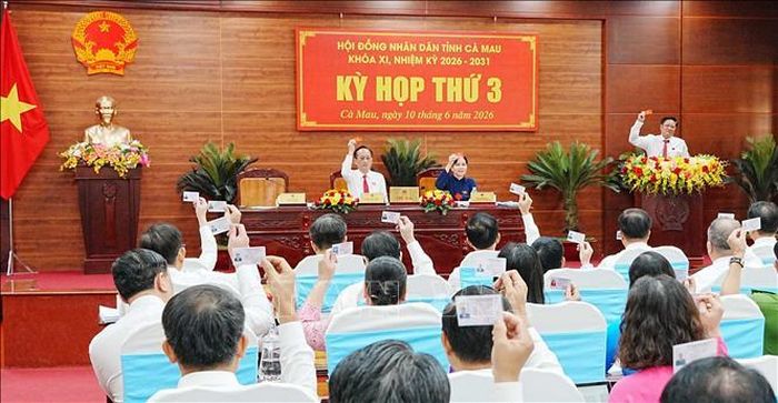 Các đại biểu biểu quyết tại Kỳ họp.