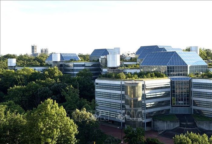 Công trình xây dựng nằm xen kẽ giữa rừng cây tại Washington D.C (Mỹ) góp phần hấp thụ CO2 và giảm phát thải khí nhà kính trong môi trường đô thị. Ảnh minh họa: Ngọc Quang/PV TTXVN tại Mỹ.
