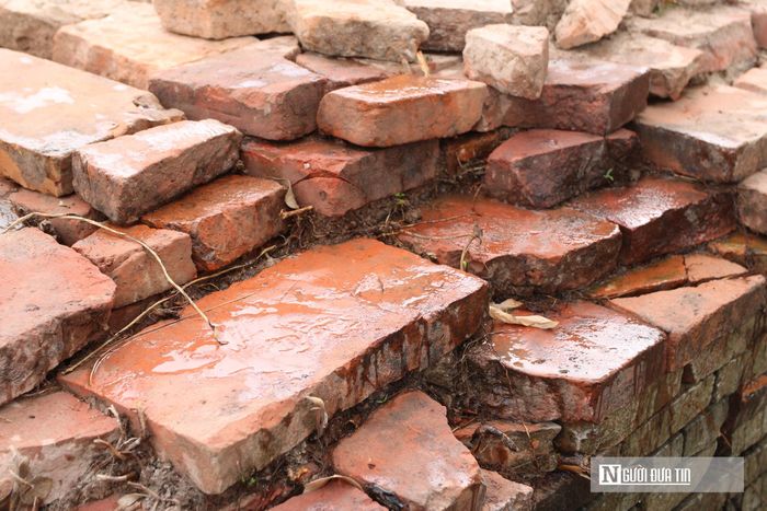 Những viên gạch này khi được tưới nước có màu đỏ au rất đẹp.