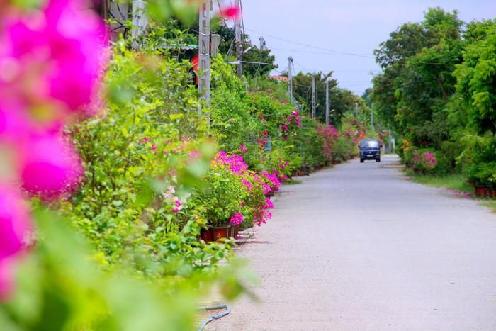 Những con đường quê cực đẹp ở Nghệ An.
