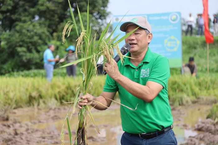 TS. Nguyễn Văn Hùng, chuyên gia khoa học cao cấp của IRRI chia sẻ về hiệu quả mô hình. Ảnh: Phương Nam