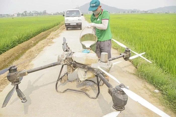 Người dân xã Hoằng Tiến sử dụng thiết bị không người lái phun thuốc trừ sâu cho lúa vụ xuân 2026.