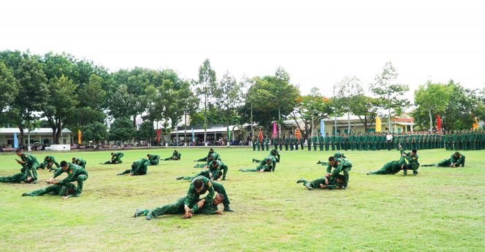 Biểu diễn phân thế đối kháng.