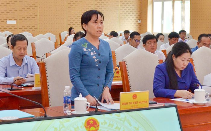 Phó Chủ tịch HĐND tỉnh An Giang Đinh Thị Việt Huỳnh phát biểu tại hội nghị.
