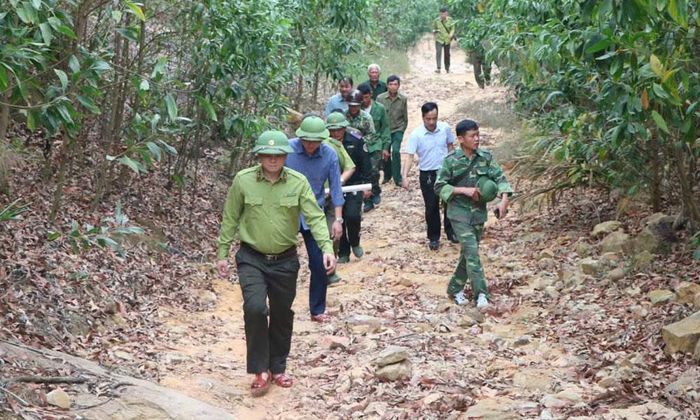 Lực lượng kiểm lâm phối hợp với xã Tuấn Đạo và các tổ quản lý bảo vệ rừng tuần tra trên địa bàn.