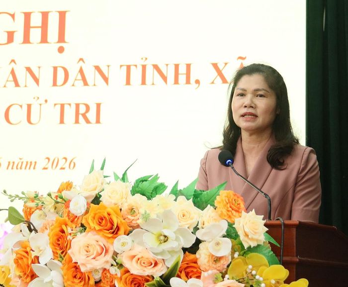 Đồng chí Lâm Thị Hương Thành thông tin khái quát về tình hình phát triển kinh tế-xã hội của tỉnh tại hội nghị.