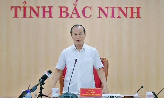 Phó Chủ tịch Thường trực UBND tỉnh Mai Sơn phát biểu kết luận hội thảo.