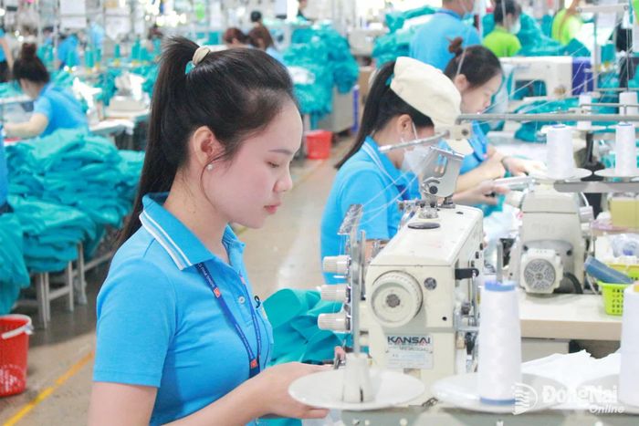 Công nhân Công ty cổ phần Đồng Phú Cường (xã Thống Nhất) trong giờ sản xuất. Ảnh: Nguyễn Hòa