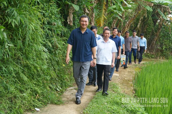 Đoàn công tác của UBND tỉnh kiểm tra thực địa công tác GPMB tại ga đi (xã Lộc Bình)