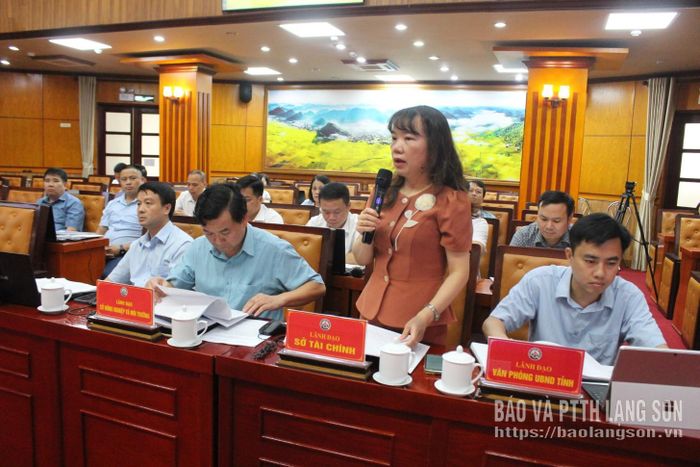 Lãnh đạo Sở Tài chính phát biểu thảo luận tại buổi giám sát