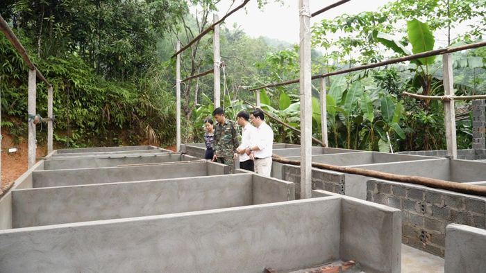 Nhiều hộ chăn nuôi ở xã Nghĩa Tâm đã chuẩn bị chuồng trại mới, song vẫn thận trọng tái đàn để bảo đảm an toàn trước nguy cơ dịch bệnh.