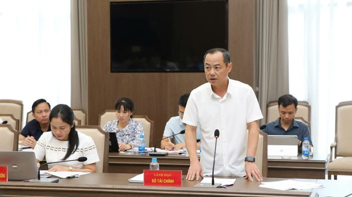 Lãnh đạo Sở Tài chính phát biểu tại hội nghị.