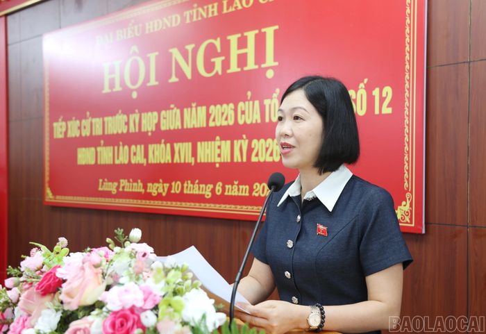 Đồng chí Nguyễn Thị Lan Anh - Phó Giám đốc Sở Khoa học và Công nghệ thông tin tới cử tri tình hình phát triển kinh tế - xã hội của tỉnh.