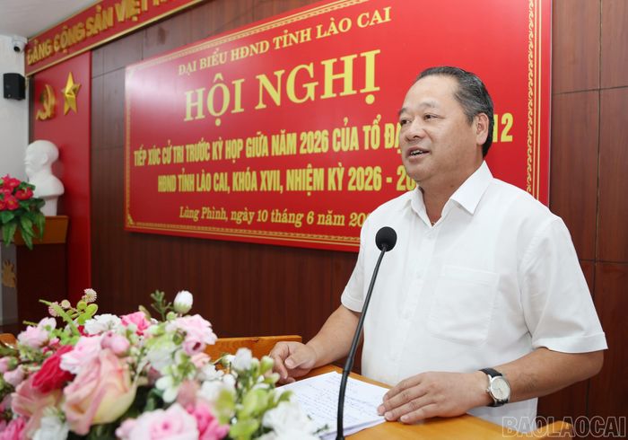 Phó Chủ tịch HĐND tỉnh Lý Bình Minh phát biểu tại hội nghị.