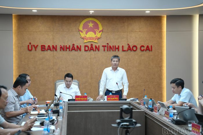 Đồng chí Ngô Hạnh Phúc - Ủy viên Ban Thường vụ Tỉnh ủy, Phó Chủ tịch Thường trực UBND tỉnh phát biểu chỉ đạo về công tác quy hoạch, đầu tư và phát triển hạ tầng điện trên địa bàn tỉnh.