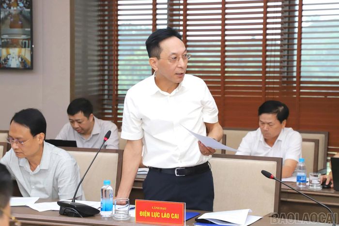 Lãnh đạo Công ty Điện lực Lào Cai báo cáo tình hình cung ứng điện, tiến độ triển khai các dự án lưới điện và khó khăn, vướng mắc cần tháo gỡ.