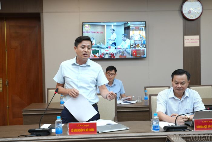 Lãnh đạo Sở Nông nghiệp và Môi trường báo cáo nội dung liên quan đến công tác đất đai, giải phóng mặt bằng và tháo gỡ vướng mắc trong triển khai các dự án lưới điện trên địa bàn tỉnh.