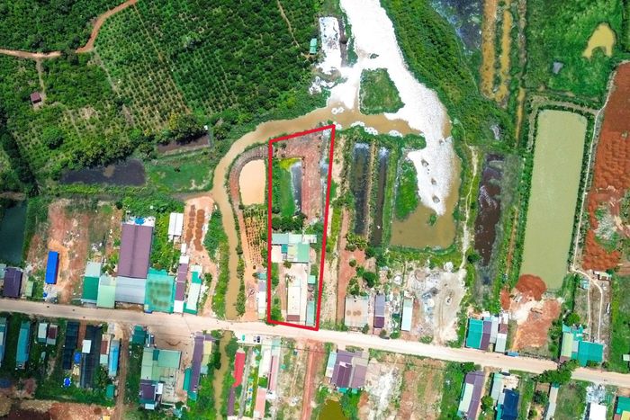 Điểm tập kết, trung chuyển heo của hộ bà Nguyễn Thị Sen bị tạm đình chỉ hoạt động 30 ngày