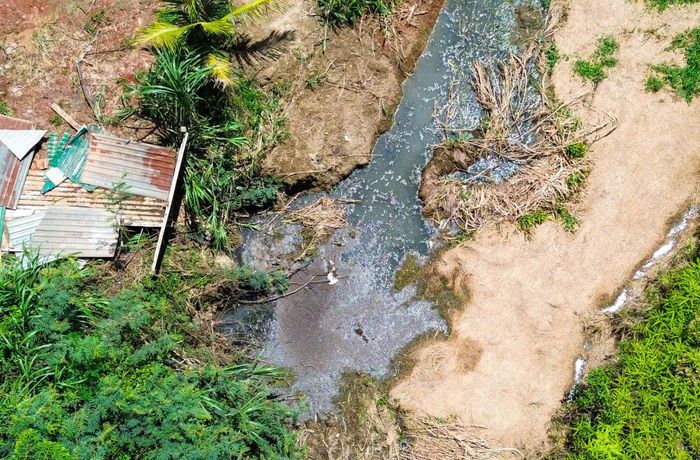Cơ sở tập kết heo đào thêm mương dẫn nước thải chảy trực tiếp ra suối Đắk N’Ting