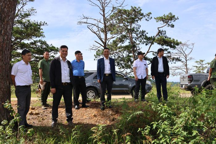 Đại diện chính quyền địa phương, Ban Quản lý rừng phòng hộ Lâm Viên cùng thành viên đoàn đi thực tế
