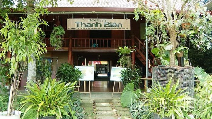 Mô hình du lịch cộng đồng gắn với đồi chè.
