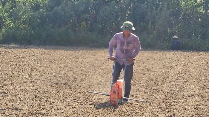 Nông dân sử dụng máy gieo hạt cầm tay đẩy nhanh xuống giống ngô sinh khối - Ảnh: Phan Khiêm