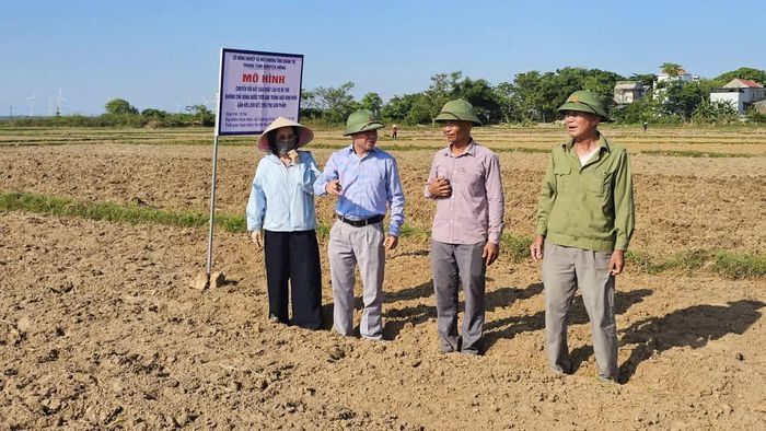 Cán bộ Trung tâm Khuyến nông tỉnh khảo sát mô hình trồng ngô sinh khối tại xã Trường Ninh - Ảnh: Phan Khiêm