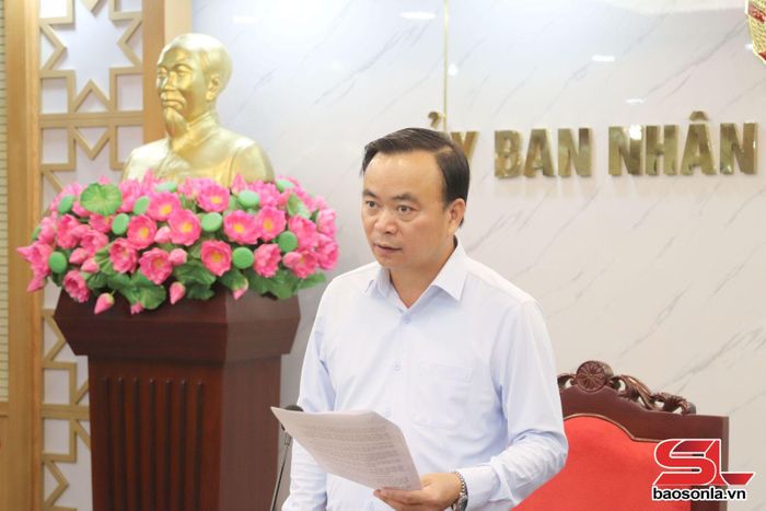 Đồng chí Phó Chủ tịch Thường trực UBND tỉnh phát biểu tại buổi làm việc.