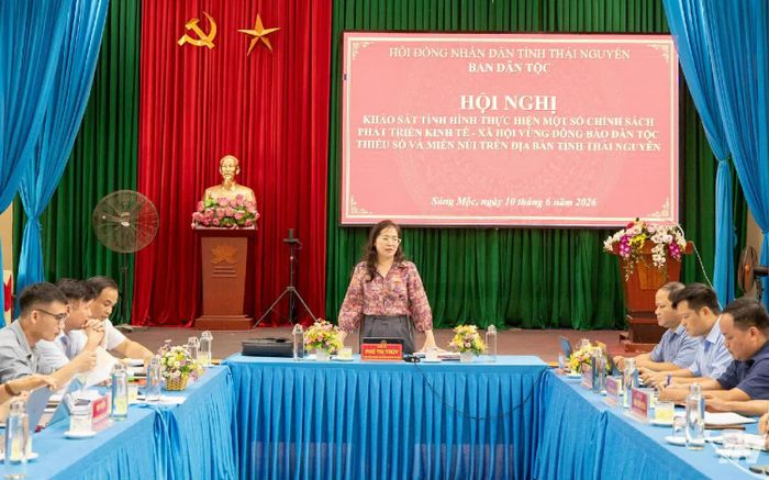 Quang cảnh buổi khảo sát.