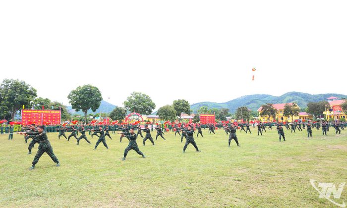 Màn biểu diễn võ thuật do chiến sĩ mới Sư đoàn 346 thực hiện tại Lễ tuyên thệ.