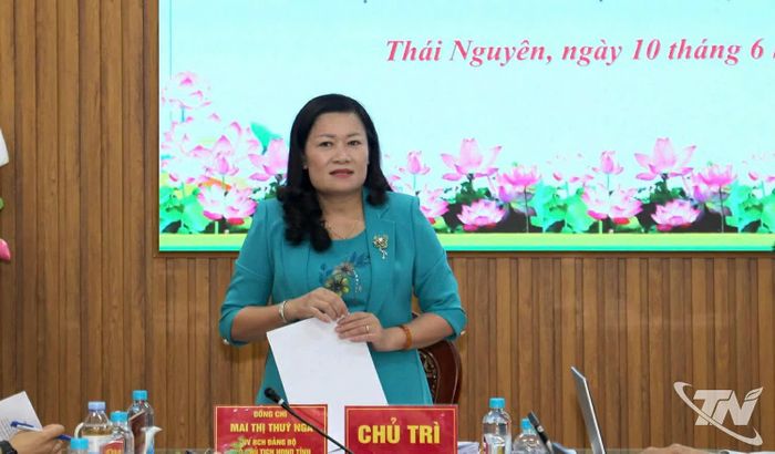 Đồng chí Mai Thị Thúy Nga, Phó Chủ tịch HĐND tỉnh phát biểu kết luận buổi làm việc.