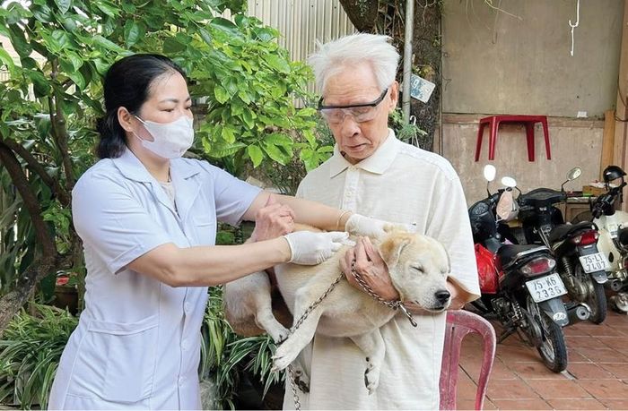 Đến nay, tỷ lệ tiêm phòng dại cho chó, mèo đạt 94% kế hoạch đề ra