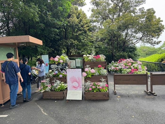 Cổng vào tham quan Camellia Hill - khu vườn nổi tiếng với hàng ngàn cây hoa trà và nhiều loài thực vật khác.