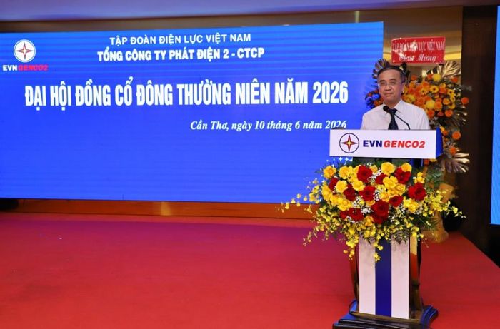 Ông Đinh Thế Phúc - Thành viên HĐTV EVN phát biểu chỉ đạo tại Đại hội.