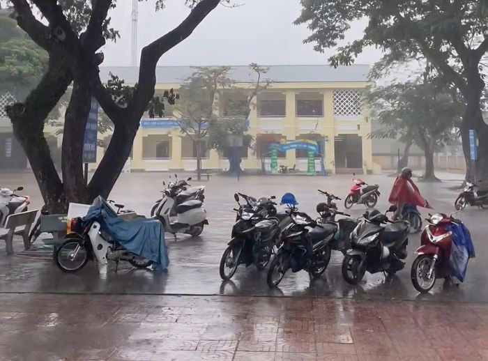 Trận "mưa vàng" khiến khuôn viên nhiều trường học trở nên mát mẻ, giúp sỹ tử tự tin hơn khi bước vào kỳ thi THPT quốc gia.