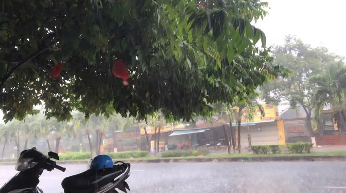 Trận mưa lớn quý giá này còn giúp ngăn chặn nguy cơ cháy rừng xảy ra trên địa bàn tỉnh Quảng Ngãi.
