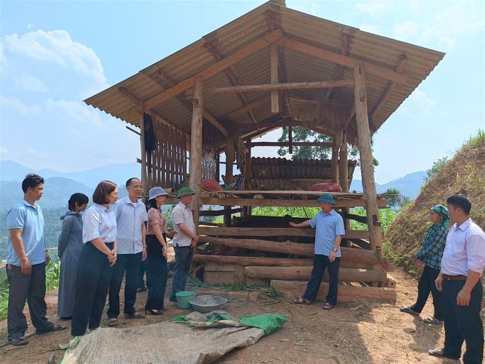 Ban Dân tộc HĐND tỉnh Tuyên Quang khảo sát thực tế dự án hỗ trợ chăn nuôi bò sinh sản thuộc Chương trình mục tiêu quốc gia tại Thôn Pố Lồ, xã Thàng Tín. Ảnh: Hoàng Loan