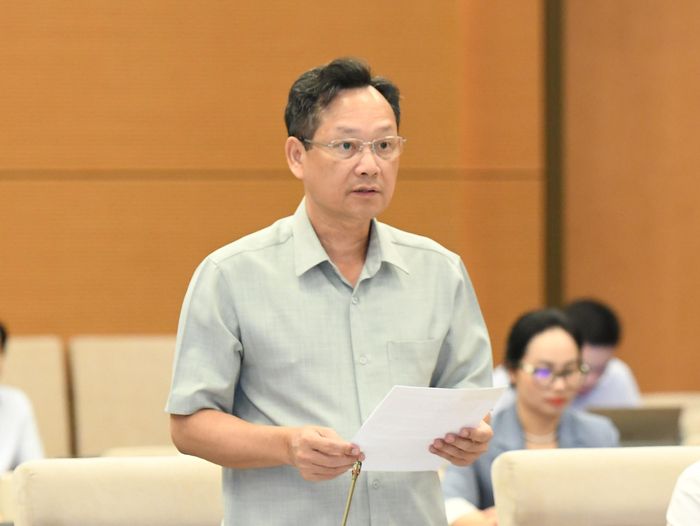 Phó chánh án Tòa án Nhân dân tối cao Nguyễn Văn Tiến trình bày Tờ trình dự án Nghị quyết