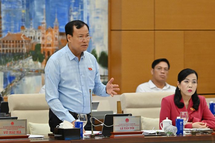 Chủ nhiệm Ủy ban Quốc phòng, An ninh và Đối ngoại Lê Tấn Tới phát biểu