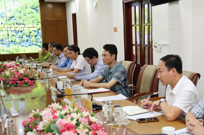 Đại biểu tham dự buổi làm việc.