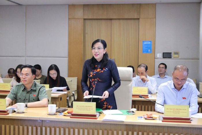 Chủ nhiệm Ủy ban Khoa học, Công nghệ và Môi trường Nguyễn Thanh Hải phát biểu