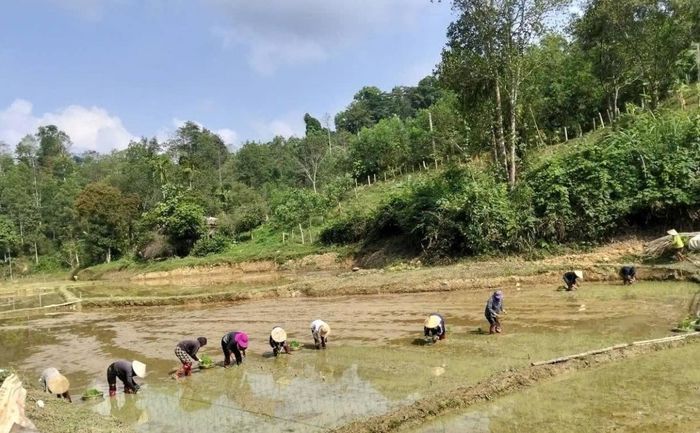Đồng vốn chính sách đã và đang trở thành “đòn bẩy” phát triển kinh tế hộ ở Quỳ Hợp